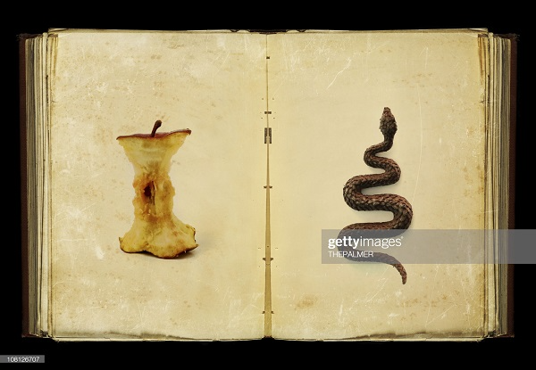 Domain of the Devil - A Satire on Publishing Industry